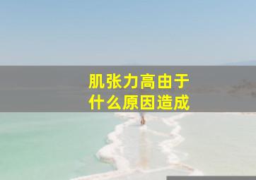 肌张力高由于什么原因造成