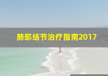 肺部结节治疗指南2017