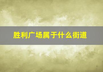 胜利广场属于什么街道