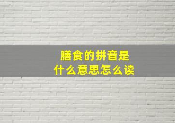 膳食的拼音是什么意思怎么读