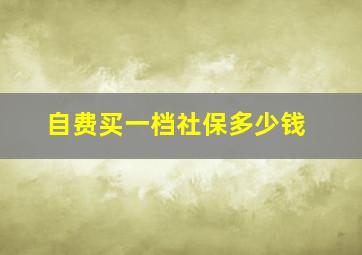 自费买一档社保多少钱