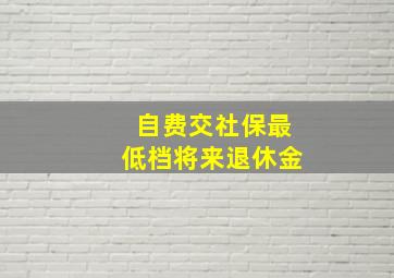 自费交社保最低档将来退休金