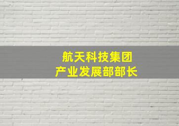 航天科技集团产业发展部部长