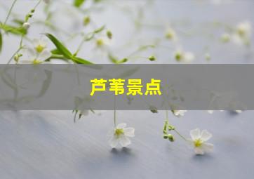 芦苇景点