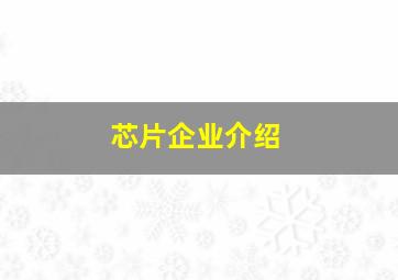 芯片企业介绍