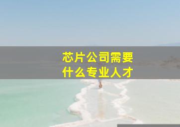 芯片公司需要什么专业人才