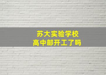 苏大实验学校高中部开工了吗