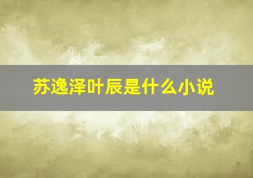 苏逸泽叶辰是什么小说