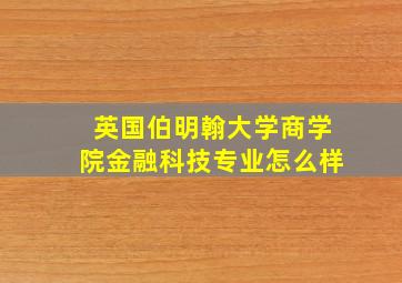 英国伯明翰大学商学院金融科技专业怎么样