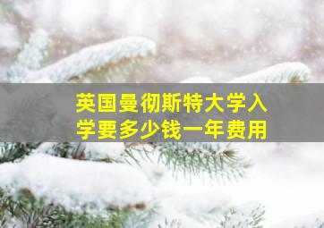 英国曼彻斯特大学入学要多少钱一年费用