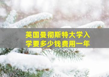 英国曼彻斯特大学入学要多少钱费用一年