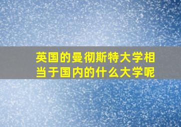 英国的曼彻斯特大学相当于国内的什么大学呢