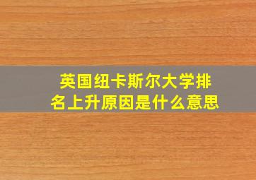 英国纽卡斯尔大学排名上升原因是什么意思