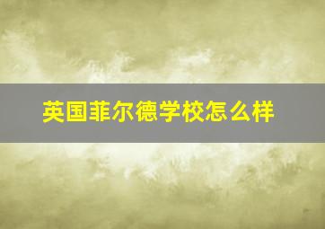 英国菲尔德学校怎么样