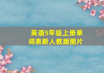 英语5年级上册单词表新人教版图片