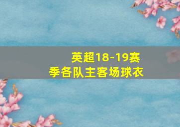 英超18-19赛季各队主客场球衣