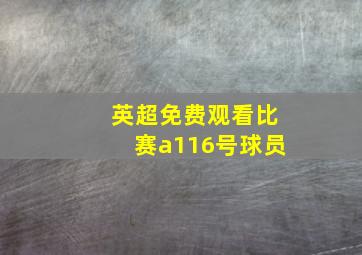 英超免费观看比赛a116号球员