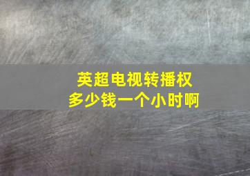 英超电视转播权多少钱一个小时啊