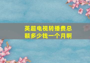 英超电视转播费总额多少钱一个月啊