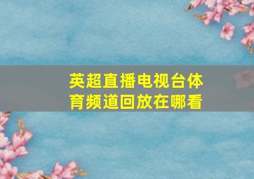 英超直播电视台体育频道回放在哪看