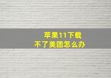 苹果11下载不了美团怎么办