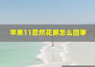 苹果11忽然花屏怎么回事