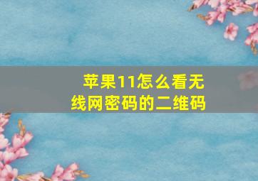 苹果11怎么看无线网密码的二维码