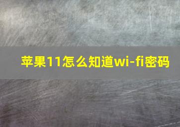 苹果11怎么知道wi-fi密码