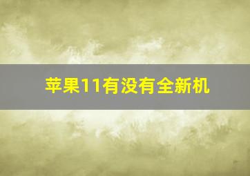 苹果11有没有全新机