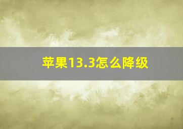 苹果13.3怎么降级