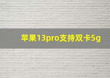 苹果13pro支持双卡5g