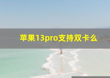 苹果13pro支持双卡么