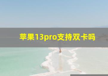 苹果13pro支持双卡吗