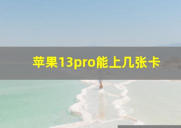 苹果13pro能上几张卡