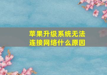 苹果升级系统无法连接网络什么原因