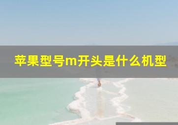 苹果型号m开头是什么机型