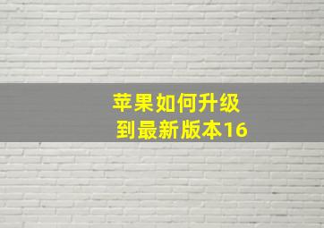 苹果如何升级到最新版本16