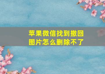 苹果微信找到撤回图片怎么删除不了