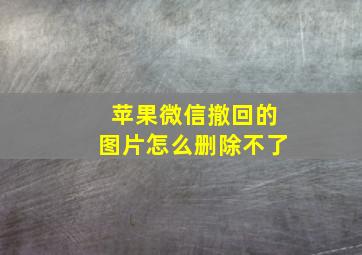 苹果微信撤回的图片怎么删除不了