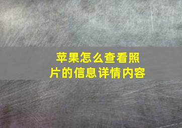 苹果怎么查看照片的信息详情内容