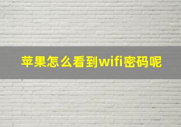 苹果怎么看到wifi密码呢