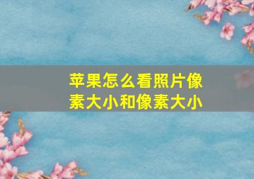 苹果怎么看照片像素大小和像素大小