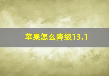 苹果怎么降级13.1