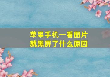 苹果手机一看图片就黑屏了什么原因