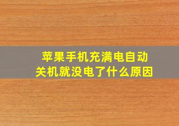 苹果手机充满电自动关机就没电了什么原因