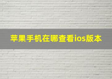 苹果手机在哪查看ios版本