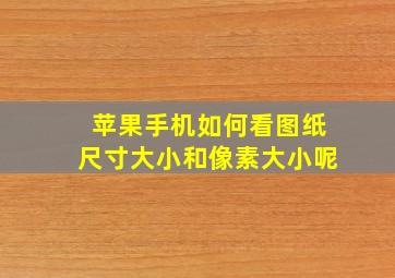 苹果手机如何看图纸尺寸大小和像素大小呢