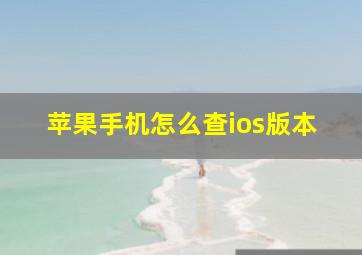 苹果手机怎么查ios版本