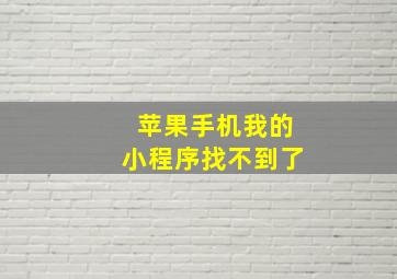 苹果手机我的小程序找不到了