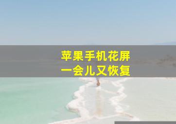 苹果手机花屏一会儿又恢复